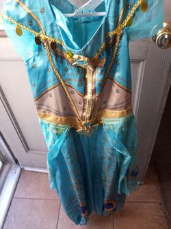 Jasmine Costume (4-6x)