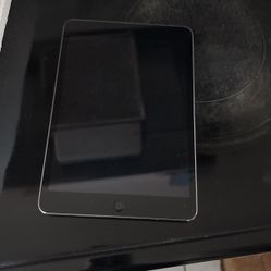 iPad Mini 2
