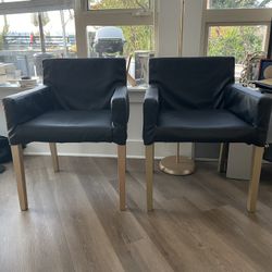 Arm Chair (Set Of Two) 