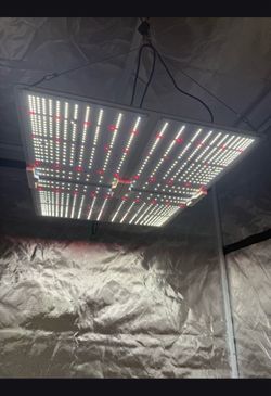 Led Grow Light / Hydroponics