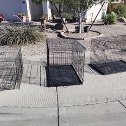 Dog Crates