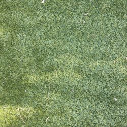 Artificial Turf