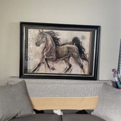 Horse Picture