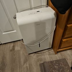 hOmeLabs 4500 Sq. Ft Energy Star Dehumidifier

