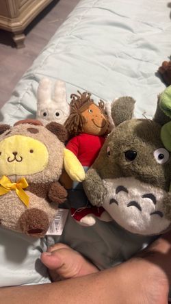 Plush Lot totoro Sanrio Arthur miffy