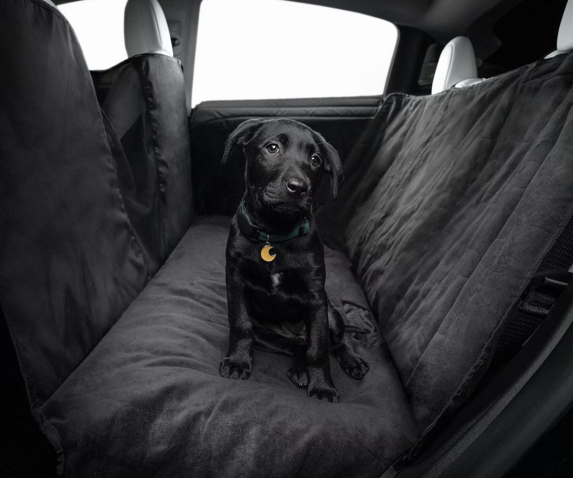 Tesla Model S/3/Y Pet Liner
