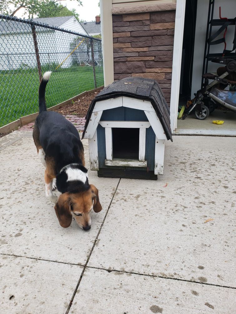 Dog house for small dog