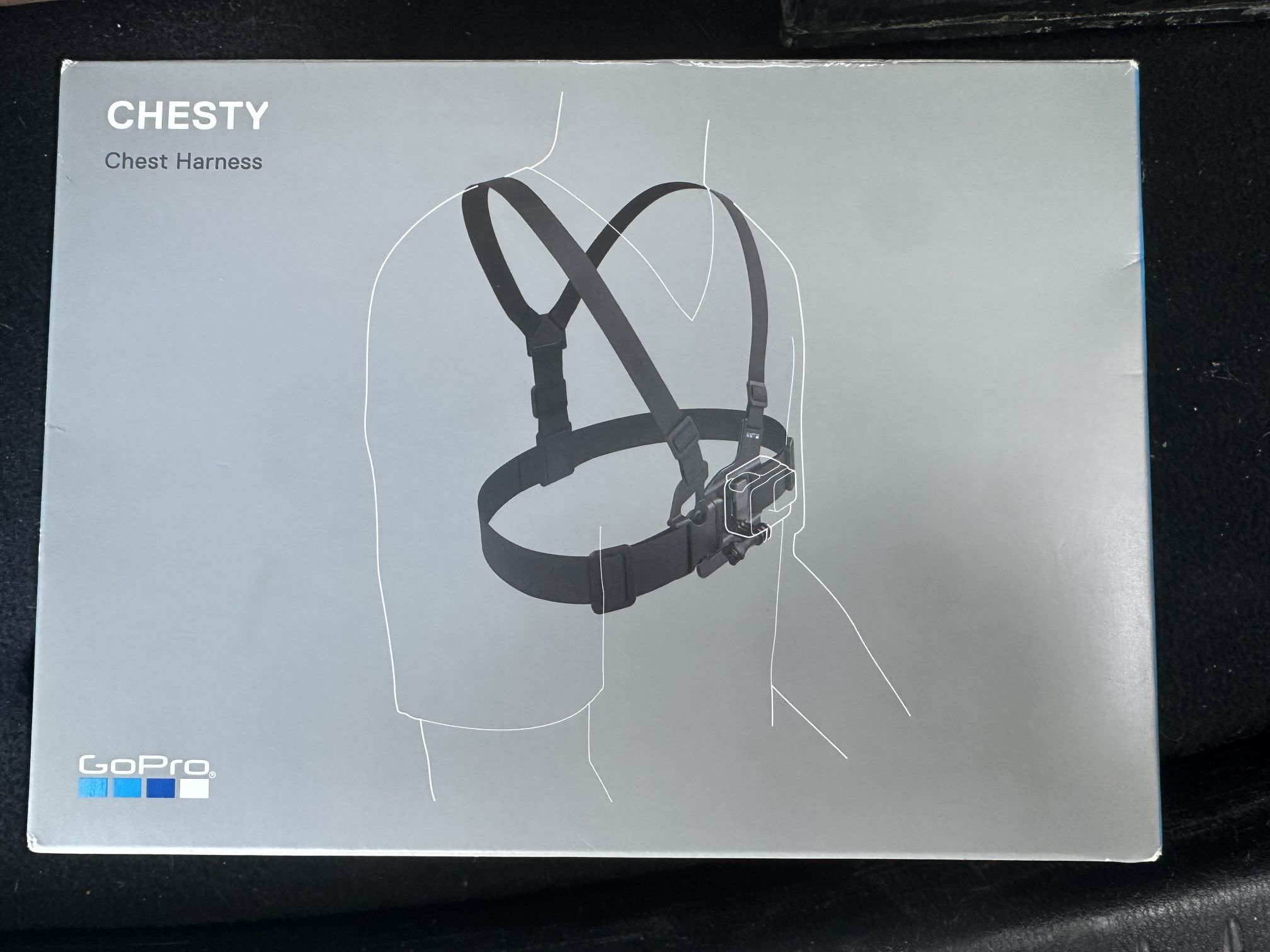 GoPro Chesty