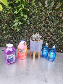 Beautiful cactus 🌵 Plant in porcelain vase and detergents all items new all for only $15