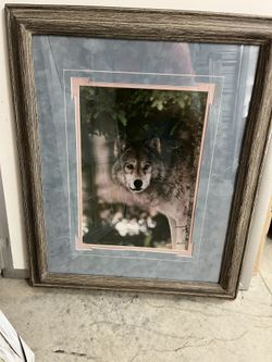Wolf Pic Frame