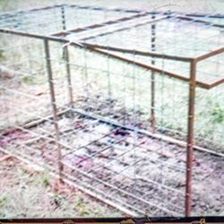 Large HOG TRAP 