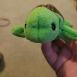 Collectible  Ty Beanie Baby Turtle- Speedy
