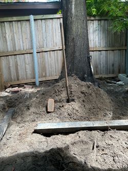 FREE Dirt