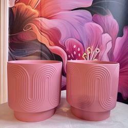 Set Of Two Pink Retro Planters