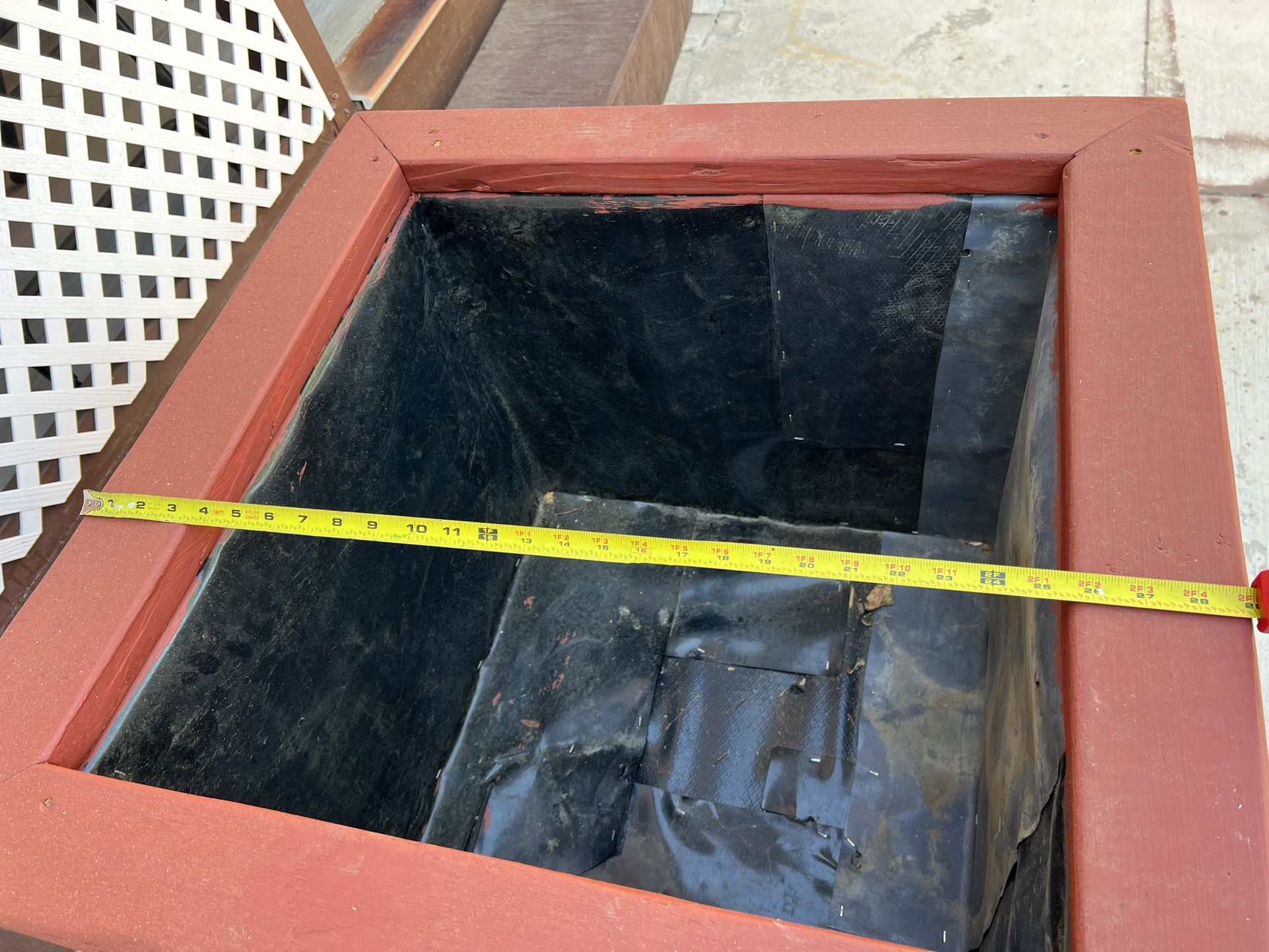 Box Plant