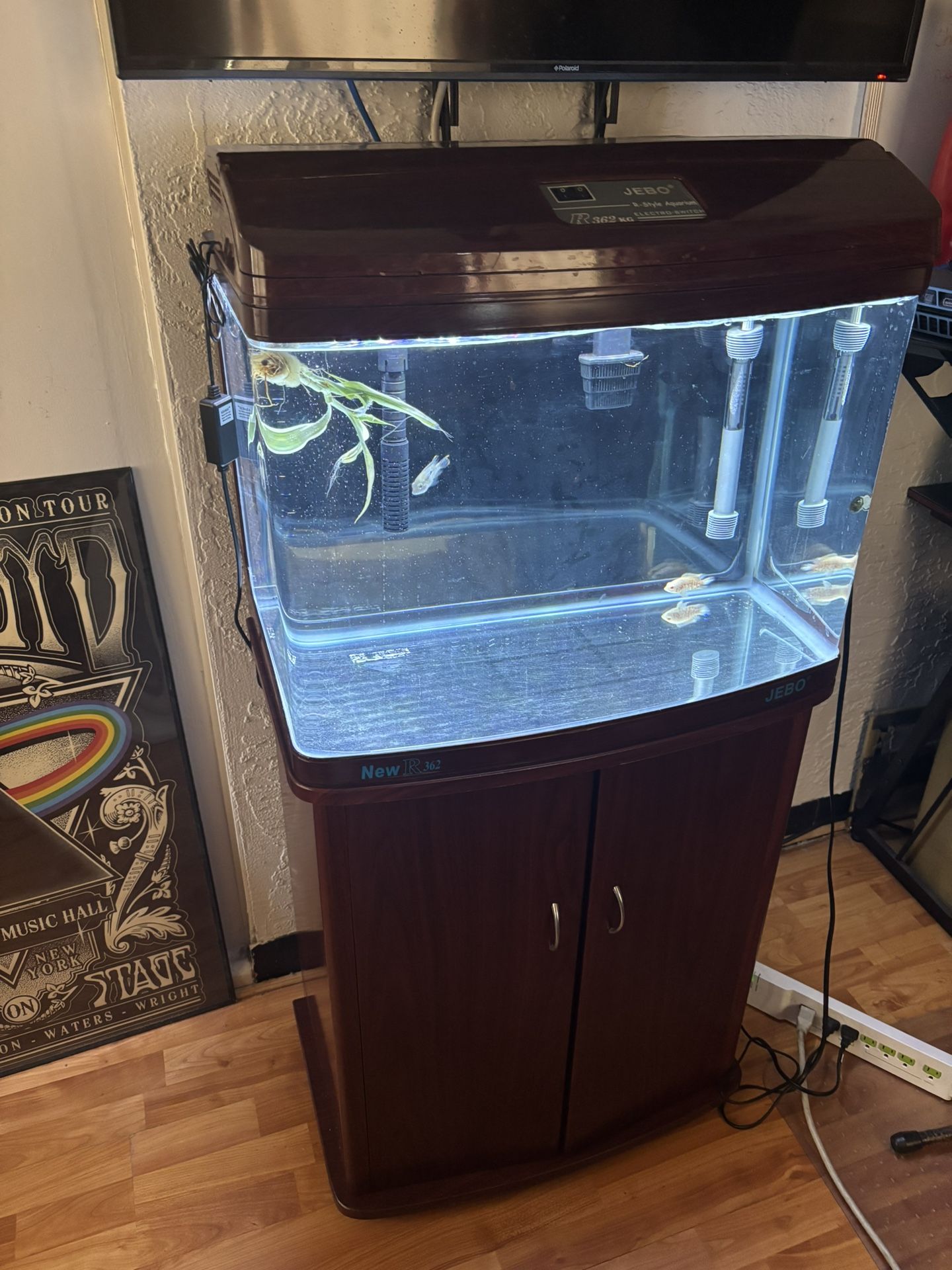 Fish Tank
