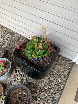 🪴 Large 18" Black Glazed Ceramic Planter / Pot