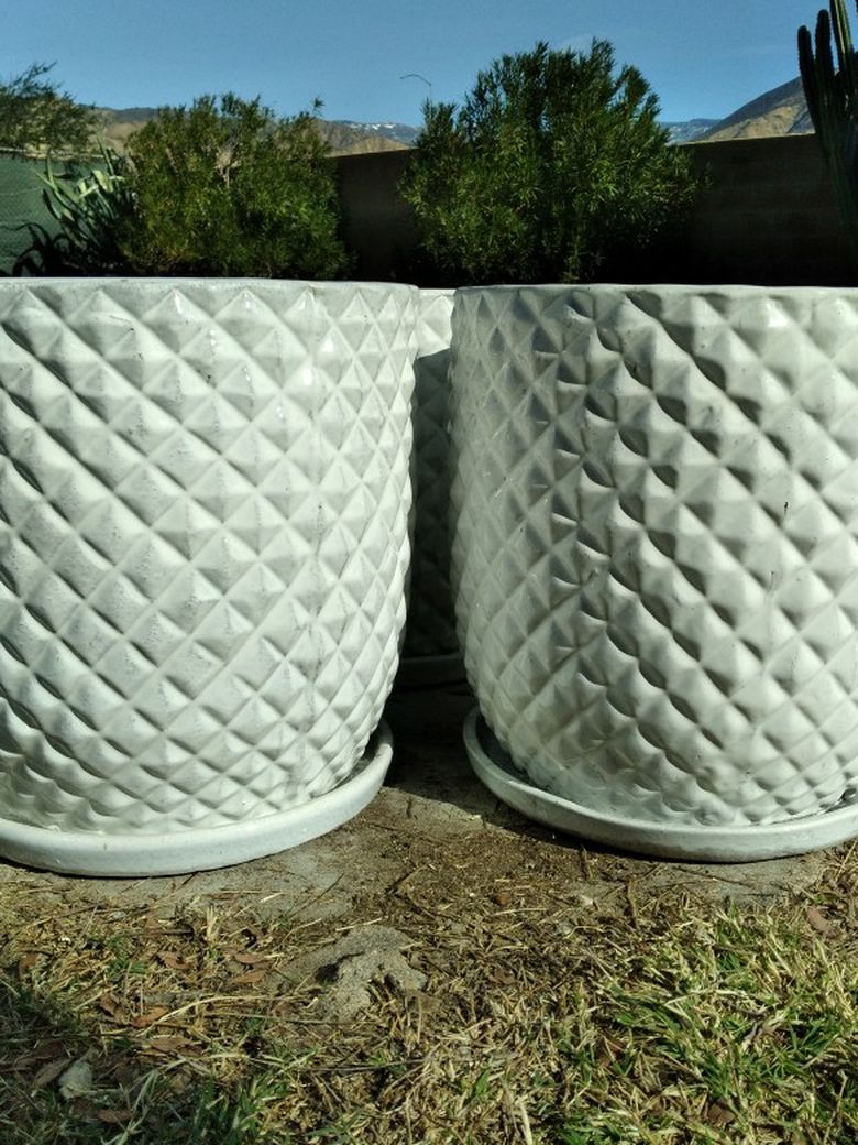 New Planting Pots "White 15" Pineapple Ceramic Planters" 4 - Available $50ea.😷