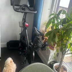 Peloton Bike With Mat, Weights, Shoes