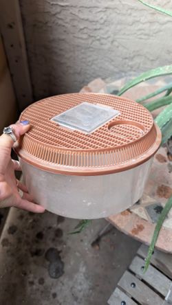 Multiple Reptile/ Insect Enclosures