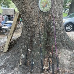 Fishing Pole Lot Vintage And Newer
