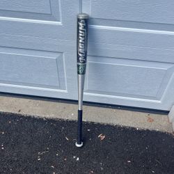 Easton Baseball Bat