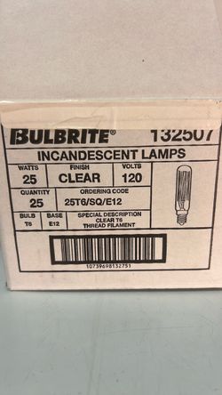 Bulbrite 132507 25W T6 Incandescent Bulb Clear E12 Candelabra Base 25T6/SQ/E12