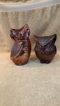 Owls 