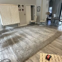 Large Area Rug 