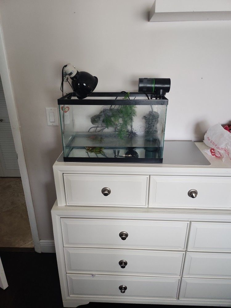 25 Gallon Turtle Tank With Everything