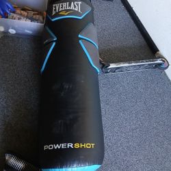 Everlast Punching Bag