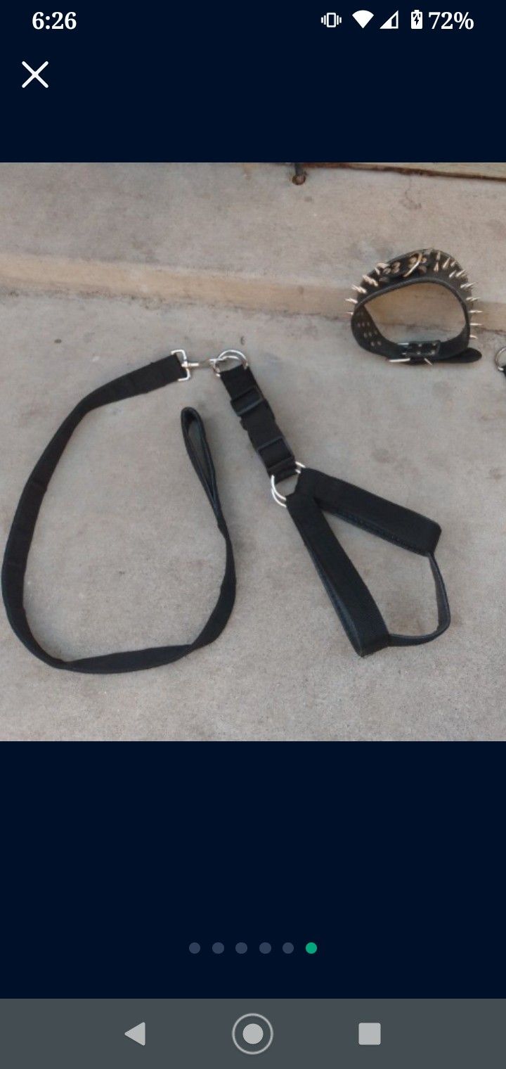 Harness For A Big Dog And Spike Collar