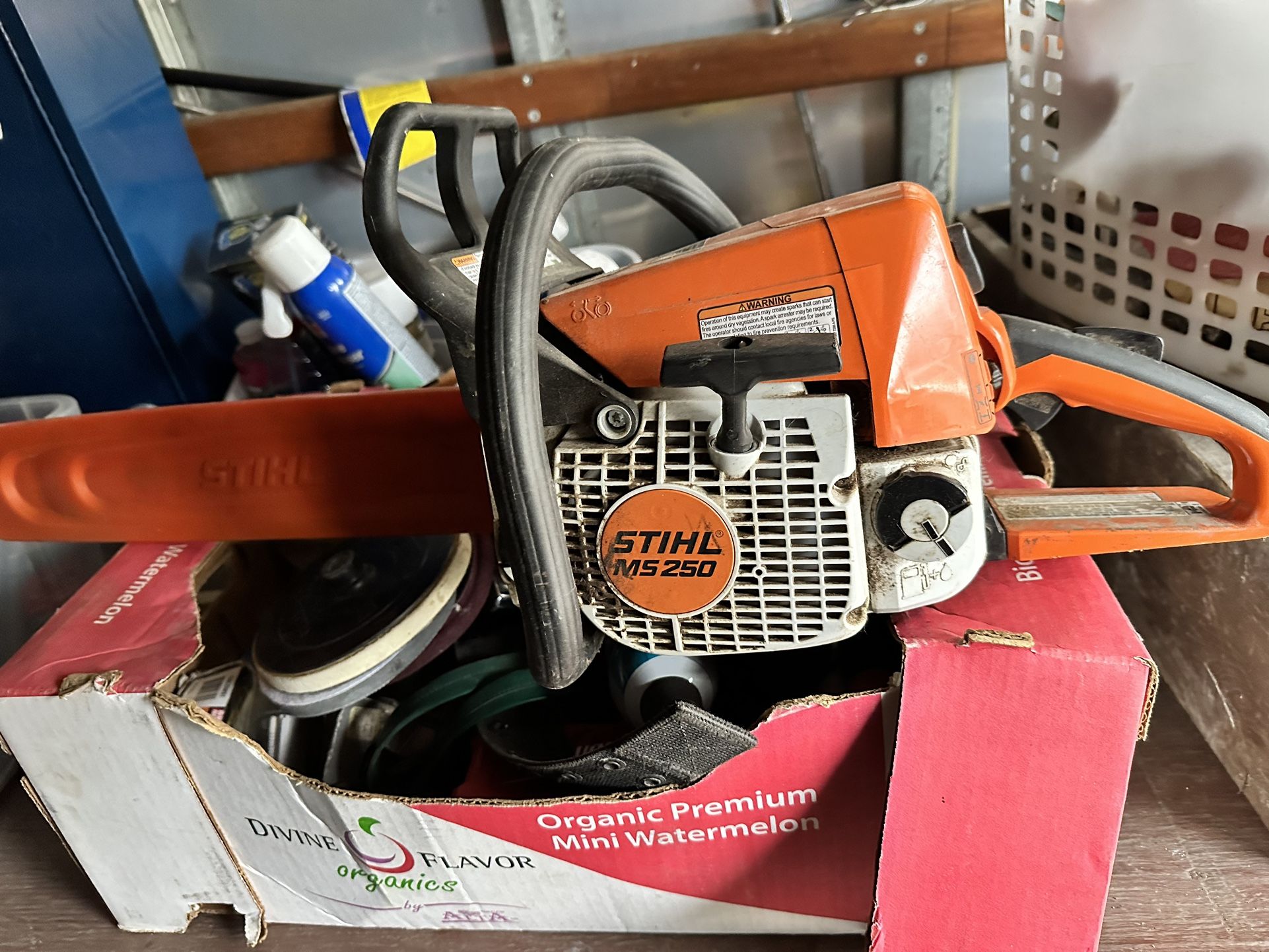 Sthil Ms 250