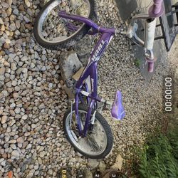 20” Girls Bike