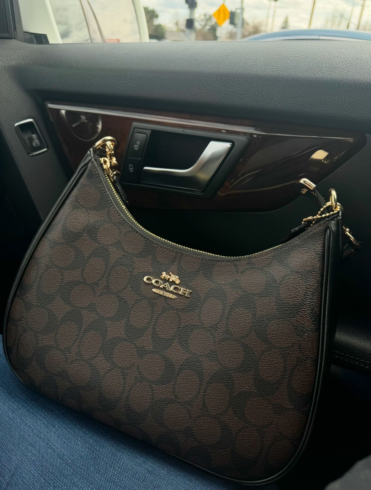 Coach Teri Hobo Bag