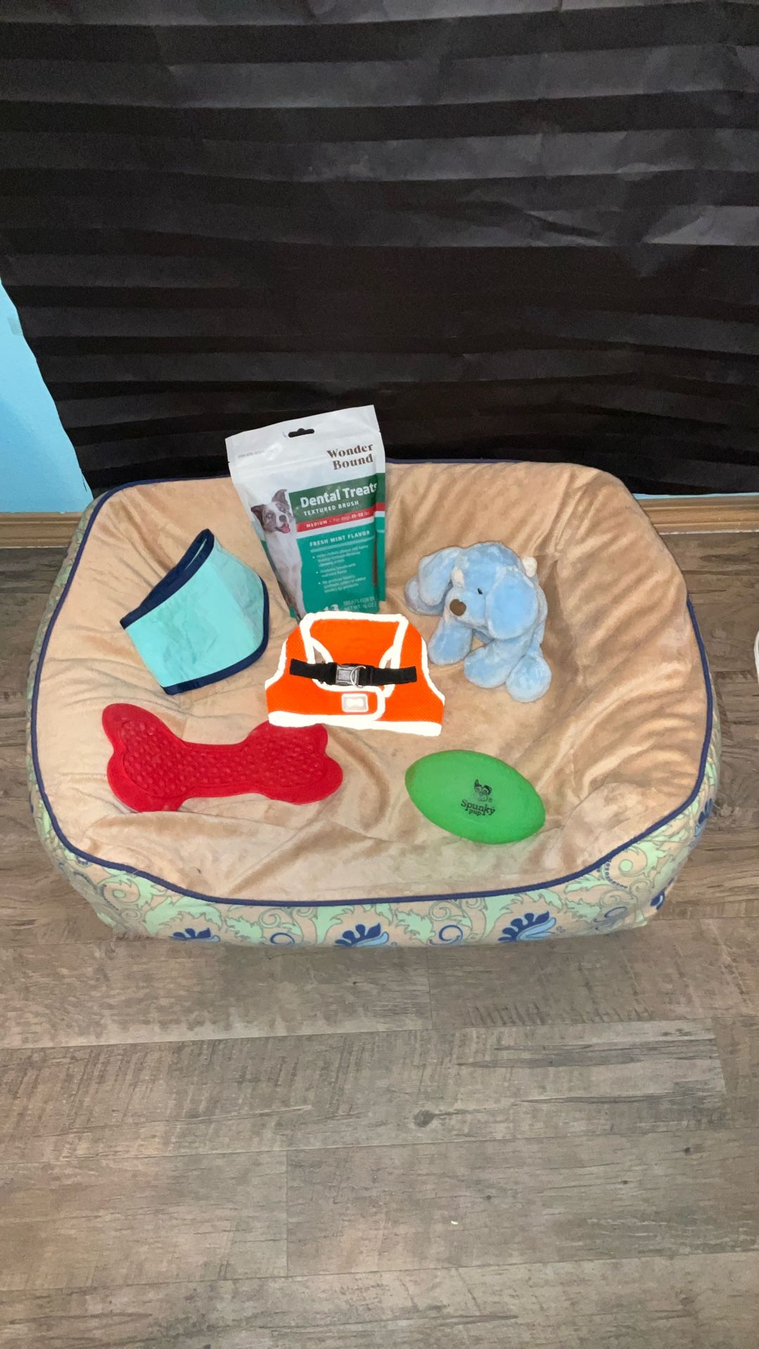 New Puppy Kit