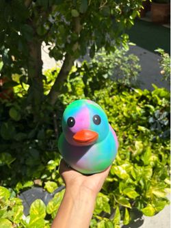 Colorful Duck Squishy