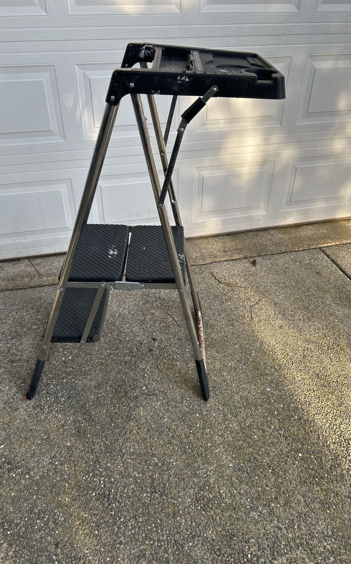 Costco Ladder