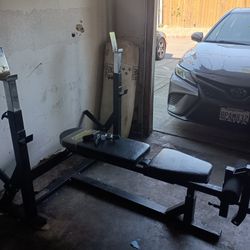 Weight Bench
