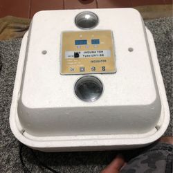 Incubator For Eggs
