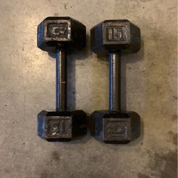 15lb Dumbbells