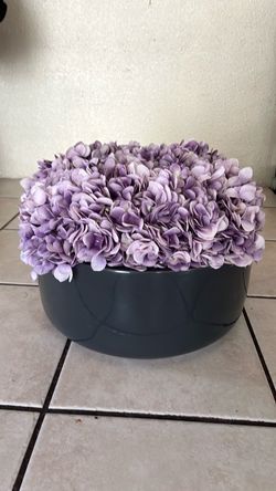 Lavender flowers
