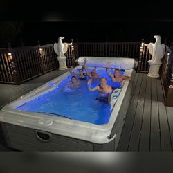 Michael Phelps Deep Momentum Swimming and Hot Spa; Master Spas Manufacturer - Good - Tallahassee, FL