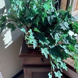 Fake Plant