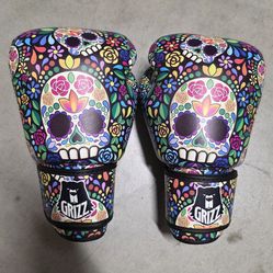 Boxing / MMA Gloves