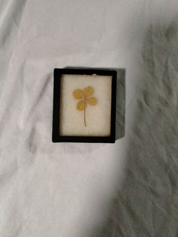 A 4 Leaf Clover