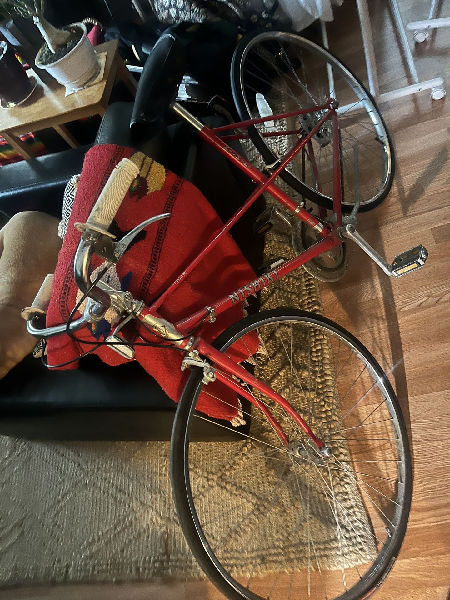 Womens Bike