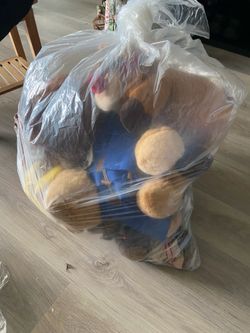 Bag of stuffed animals random