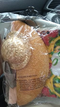 Halloween costume for small dog