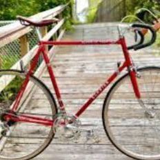 Bicycle Vintage Schwinn